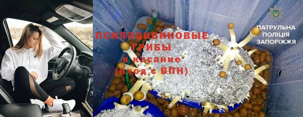 Альфа ПВП Алзамай
