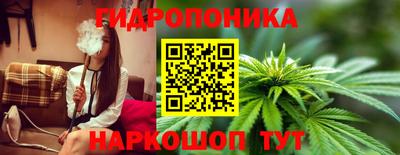 PSILOCYBIN Гулькевичи