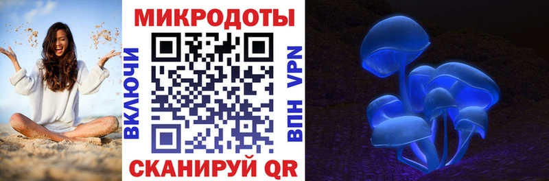 Псилоцибиновые грибы Psilocybe  где найти наркотики  Североуральск 
