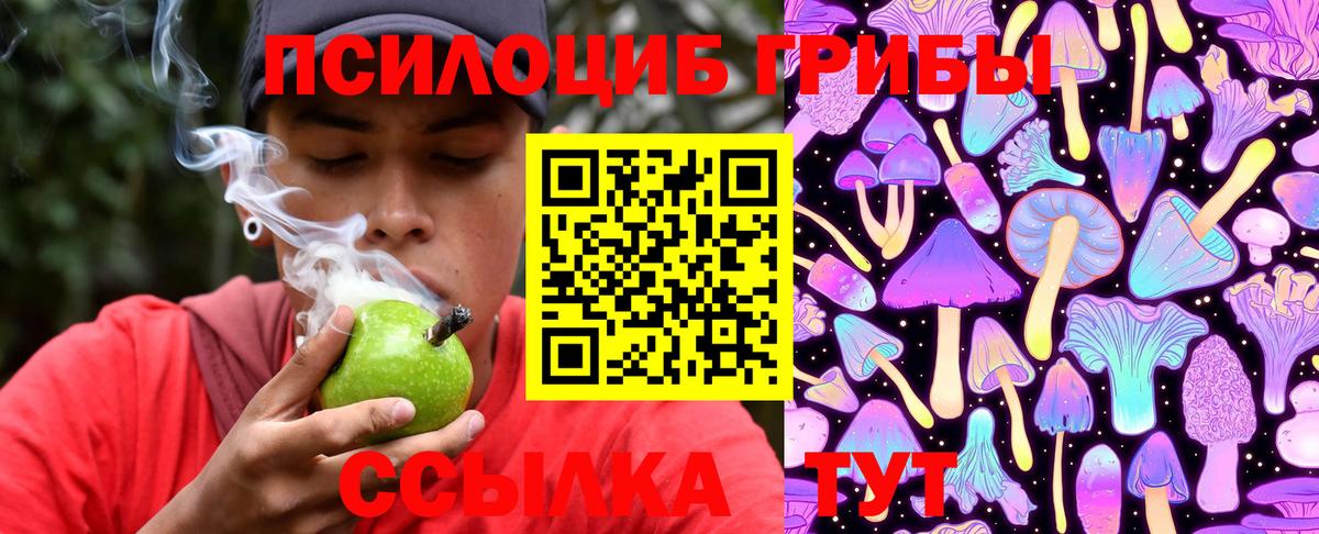 Североуральск  Псилоцибиновые грибы мицелий  где продают наркотики  Вход с VPN 