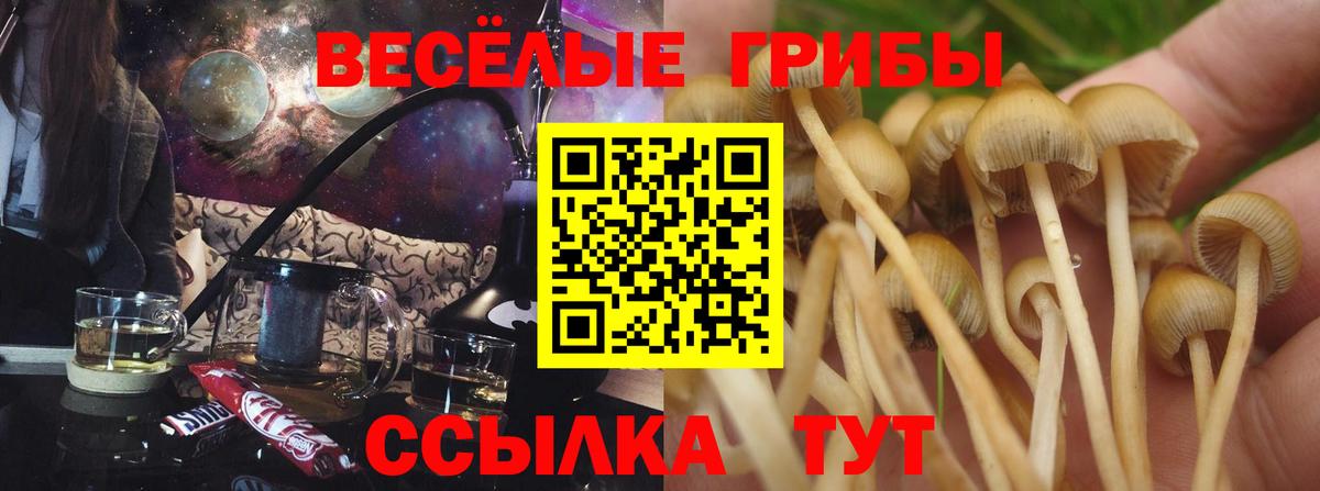 Псилоцибиновые грибы ЛСД Североуральск